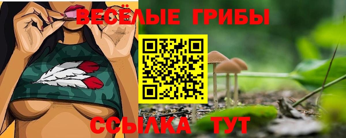 Галлюциногенные грибы ЛСД  Галлюциногенные грибы прущие грибы  Вход с VPN  Кемерово 