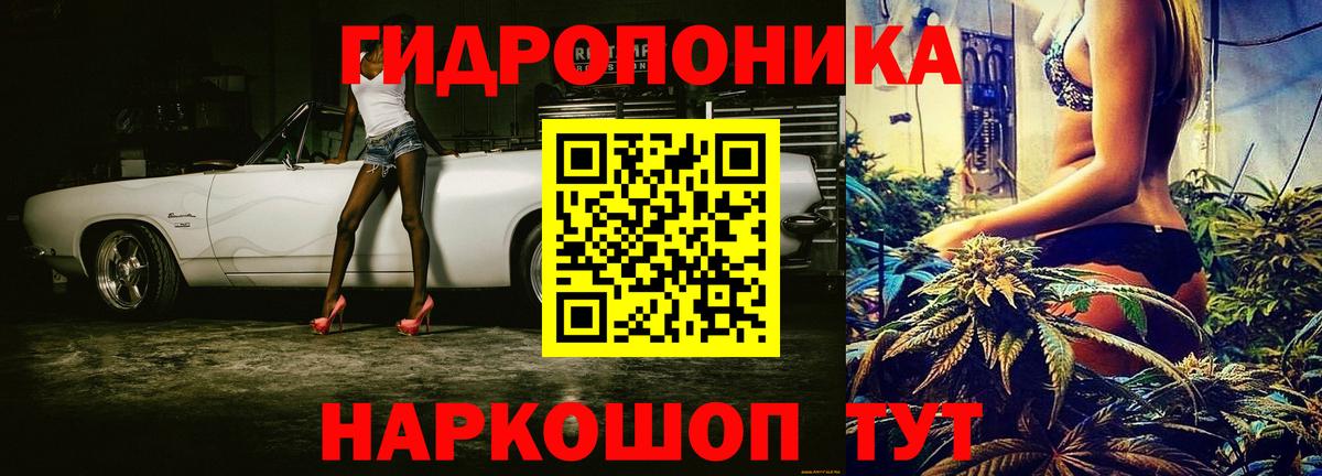 Бошки марихуана гибрид  Канабис VHQ  Кемерово  Вход с VPN 